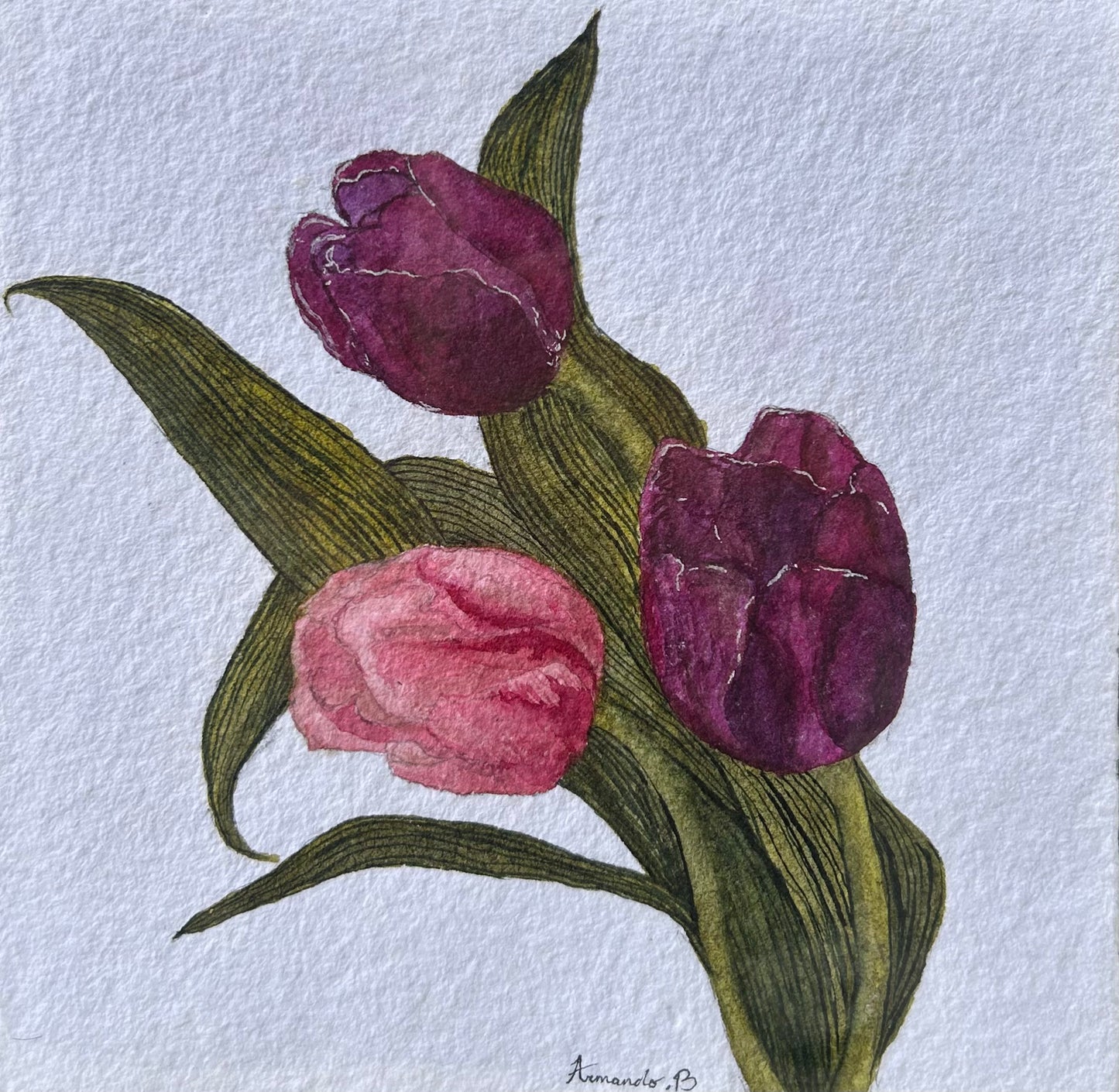 Armando Barajas Tulip Painting #007