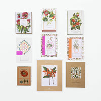 Winter Botanicals: Notecards and envelopes set of 12