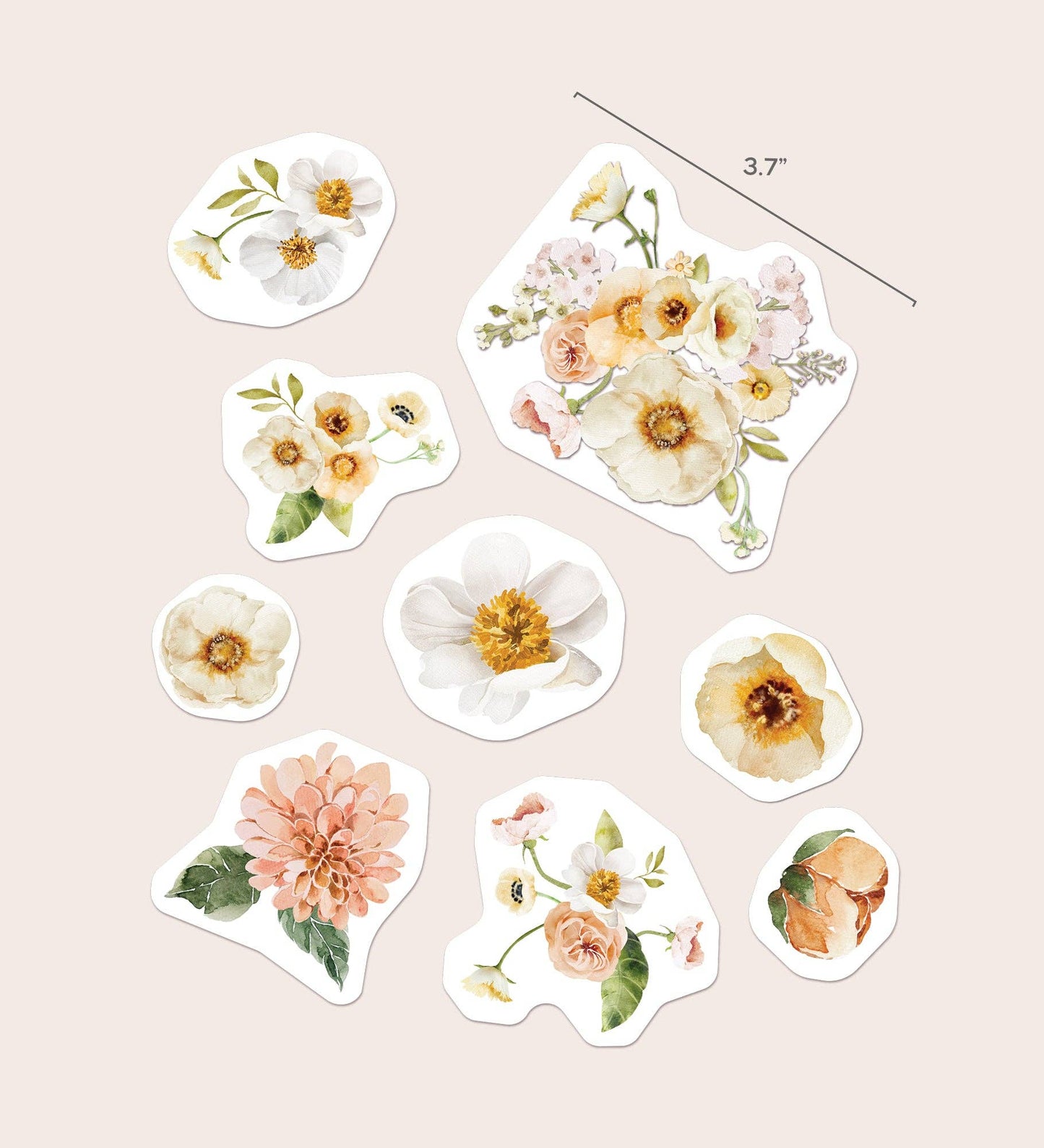 Suteka: Home Decor Tattoos, Wildflowers Set