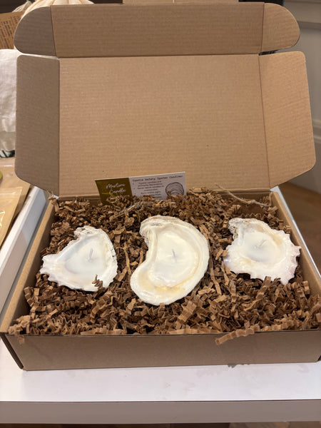Martini Candle Co. set of 3 oyster shell candles