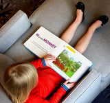 Animals in Art by Sabrina Hahn