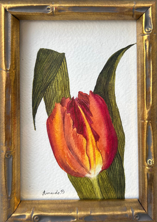 Armando Barajas Tulip Painting #005