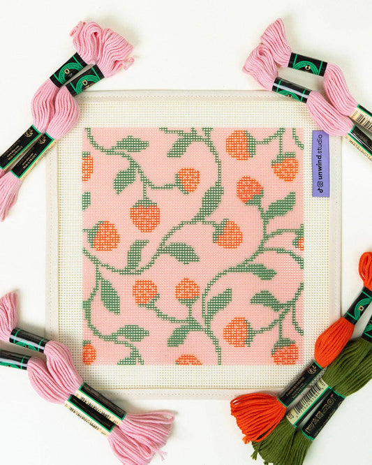 Strawberries Sunglasses Case Needlepoint Kit